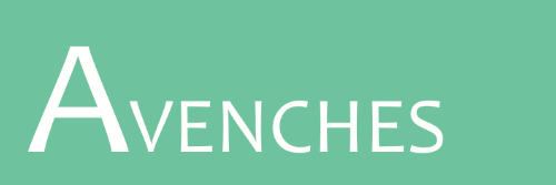 Aventicum capitale des helvetes