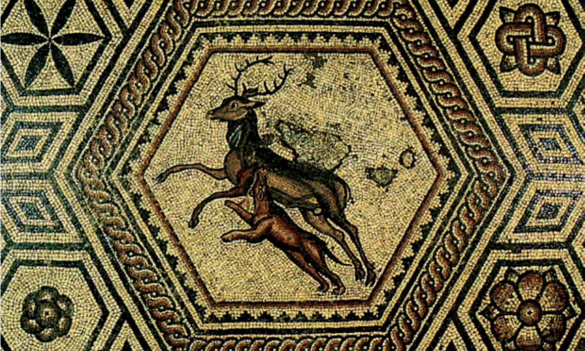 Musée Romain Vallon Suisse