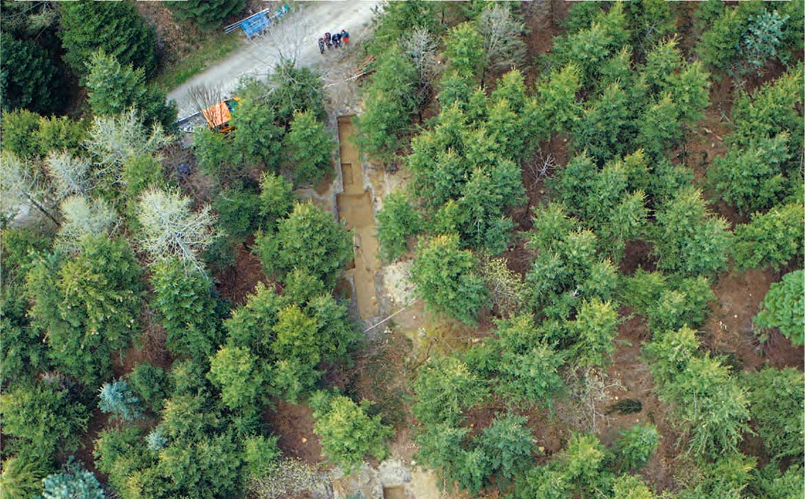 publication AVENTICUM 39 2021