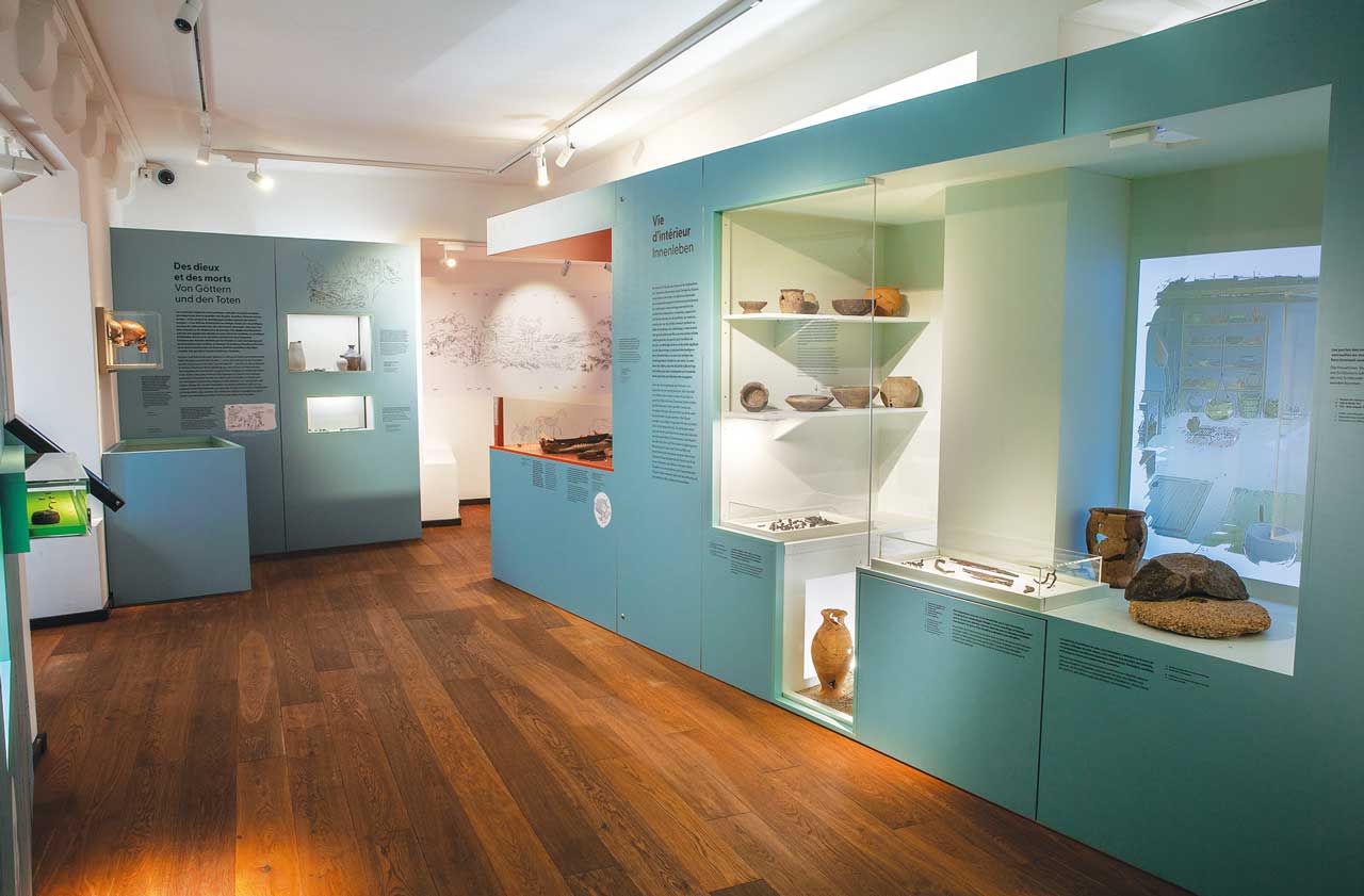 Fig. 3 Vue de l’exposition « Avenches la Gauloise » à visiter actuellement au Musée romain d’Avenches